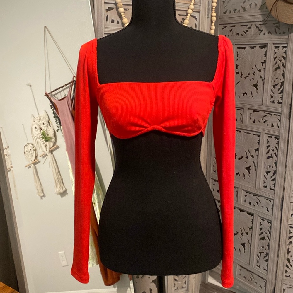 Super Sexy long sleeve crop top